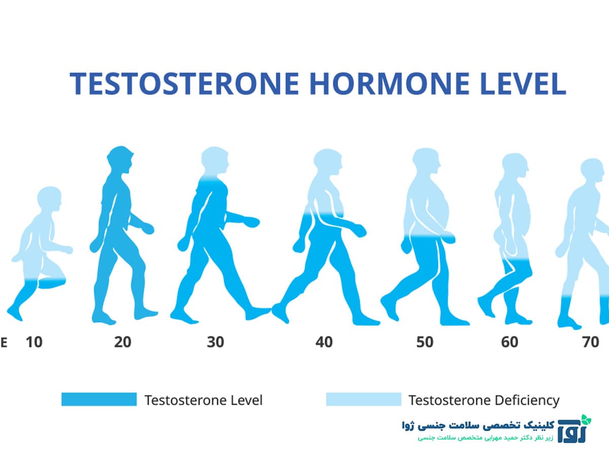 هورمون تستوسترون در مردان و زنان